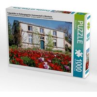 Tulpenblüte im Sichtungsgarten Hermannshof in Weinheim (Puzzle) von Calvendo Puzzle