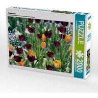 Tulpenmix (Puzzle) von Calvendo Puzzle