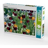 Tulpenmix (Puzzle) von Calvendo Puzzle