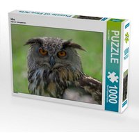 Uhu (Puzzle) von Calvendo Puzzle