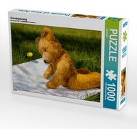 CALVENDO Puzzle Urlaubsplanung 1000 Teile Lege-Größe 64x48cm Foto-Puzzle für glückliche Stunden von Calvendo Puzzle