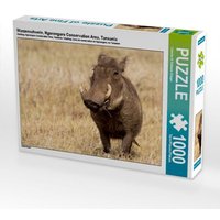 Warzenschwein, Ngorongoro Conservation Area, Tansania (Puzzle) von Calvendo Puzzle