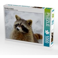 Waschbär im Schnee (Puzzle) von Calvendo Puzzle