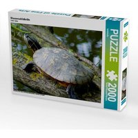 Wasserschildkröte (Puzzle) von Calvendo Puzzle