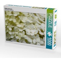 Weiße Hortensie (Puzzle) von Calvendo Puzzle