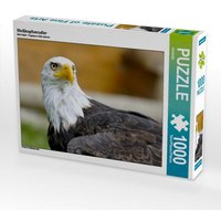 Weißkopfseeadler (Puzzle) von Calvendo Puzzle