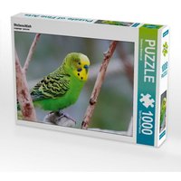 Wellensittich (Puzzle) von Calvendo Puzzle