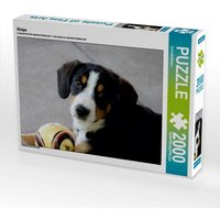 Welpe (Puzzle) von Calvendo Puzzle