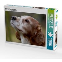 Welsh Springer Spaniel (Puzzle) von Calvendo Puzzle