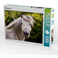 Welshpony Lulu (Puzzle) von Calvendo Puzzle