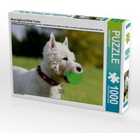 West Highland White Terrier (Puzzle) von Calvendo Puzzle