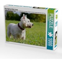 West Highland White Terrier (Puzzle) von Calvendo Puzzle