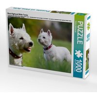 West Highland White Terrier (Puzzle) von Calvendo Puzzle