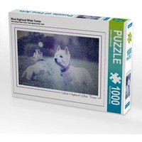 CALVENDO Puzzle West Highland White Terrier 1000 Teile Lege-Größe 64x48cm Foto-Puzzle für glückliche Stunden von Calvendo Puzzle