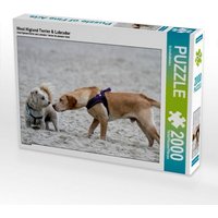 West Higland Terrier & Labrador (Puzzle) von Calvendo Puzzle