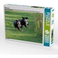 Wettrennen (Puzzle) von Calvendo Puzzle