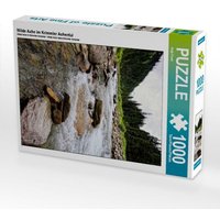 Wilde Ache im Krimmler Achental (Puzzle) von Calvendo Puzzle