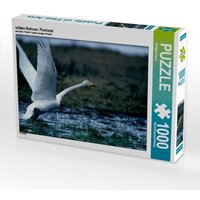 Wilden Schwan. Finnland (Puzzle) von CALVENDO Verlag GmbH