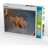 Wintermakro (Puzzle) von Calvendo Puzzle