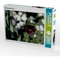 Wunderschöne Tulpe (Puzzle) von Calvendo Puzzle