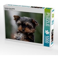 Yorkshire-Terrier Welpe (Puzzle) von Calvendo Puzzle