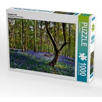 Zauberwald (Puzzle) von Calvendo Puzzle