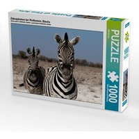 Zebrapärchen bei Rietfontein, Etosha (Puzzle) von Calvendo Puzzle
