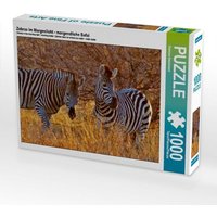 CALVENDO Puzzle Zebras im Morgenlicht - morgendliche Safai 1000 Teile Lege-Größe 64x48cm Foto-Puzzle für glückliche Stunden von Calvendo Puzzle
