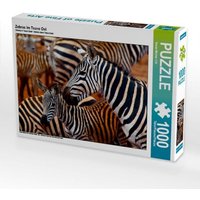Zebras im Tsavo Ost (Puzzle) von Calvendo Puzzle