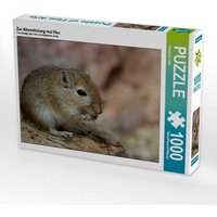 Zur Abwechslung mal Heu (Puzzle) von Calvendo Puzzle