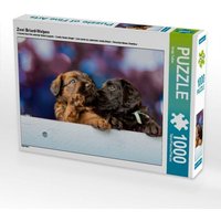 Zwei Briard-Welpen (Puzzle) von Calvendo Puzzle