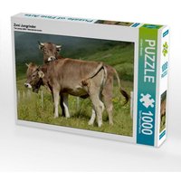 Zwei Jungrinder (Puzzle) von Calvendo Puzzle