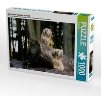 Zwei kleine Kobolde im Wald. (Puzzle) von Calvendo Puzzle