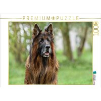 CALVENDO Puzzle 10 jähriger Langstockhaar Schäferhund 1000 Teile Lege-Größe 64x48cm Foto-Puzzle für glückliche Stunden CALVENDO Puzzle 10 jähriger Langstockhaar Schäferhund 1000 Teile Lege-Größe 64x48cm Foto-Puzzle für glückliche Stunden von Calvendo