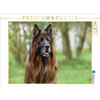 CALVENDO Puzzle 10 jähriger Langstockhaar Schäferhund 2000 Teile Lege-Größe 90x67cm Foto-Puzzle für glückliche Stunden CALVENDO Puzzle 10 jähriger Langstockhaar Schäferhund 2000 Teile Lege-Größe 90x67cm Foto-Puzzle für glückliche Stunden von Calvendo