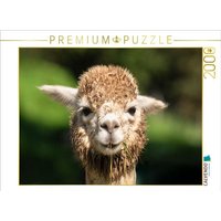 CALVENDO Puzzle Alpaka 2000 Teile Lege-Größe 90x67cm Foto-Puzzle für glückliche Stunden CALVENDO Puzzle Alpaka 2000 Teile Lege-Größe 90x67cm Foto-Puzzle für glückliche Stunden von Calvendo