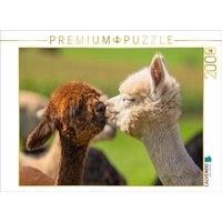 CALVENDO Puzzle Alpakafohlen 2000 Teile Lege-Größe 90x67cm Foto-Puzzle für glückliche Stunden von Calvendo