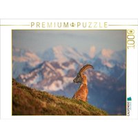 CALVENDO Puzzle Alpensteinbock 1000 Teile Lege-Größe 64x48cm Foto-Puzzle für glückliche Stunden von Calvendo