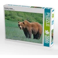 CALVENDO Puzzle Braunbär in Alaska 2000 Teile Lege-Größe 90 x 67 cm Foto-Puzzle Bild von Dieter-M. Wilczek CALVENDO Puzzle Braunbär in Alaska 2000 Teile Lege-Größe 90 x 67 cm Foto-Puzzle Bild von Dieter-M. Wilczek von Calvendo