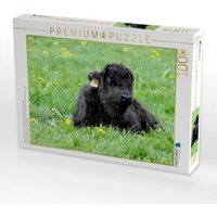 CALVENDO Puzzle Das kleine Schottische Hochlandrind genießt die Sonnenstrahlen. 1000 Teile Lege-Größe 64x48cm Foto-Puzzle für glückliche Stunden CALVENDO Puzzle Das kleine Schottische Hochlandrind genießt die Sonnenstrahlen. 1000 Teile Lege-Größe 64x48cm Foto-Puzzle für glückliche Stunden von Calvendo