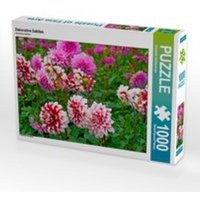 CALVENDO Puzzle Dekorative Dahlien 1000 Teile Lege-Größe 64 x 48 cm Foto-Puzzle Bild von Elisabeth Schittenhelm von Calvendo Puzzle