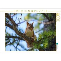 CALVENDO Puzzle Eichhörnchen zwischen den Lärchenzweigen 1000 Teile Lege-Größe 64x48cm Foto-Puzzle für glückliche Stunden von Calvendo