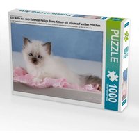 CALVENDO Puzzle Ein Motiv aus dem Kalender Heilige Birma Kitten - ein Traum auf weißen Pfötchen 1000 Teile Lege-Größe 64x48cm Foto-Puzzle für glückl CALVENDO Puzzle Ein Motiv aus dem Kalender Heilige Birma Kitten - ein Traum auf weißen Pfötchen 1000 Teile Lege-Größe 64x48cm Foto-Puzzle für glückl von Calvendo