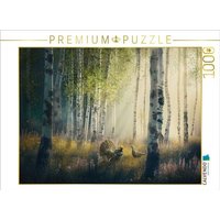 CALVENDO Puzzle Ein Motiv aus dem Kalender Wald der Märchen 1000 Teile Lege-Größe 64x48cm Foto-Puzzle für glückliche Stunden von Calvendo