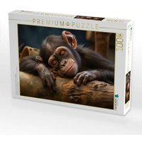 CALVENDO Puzzle Ein Motiv aus dem Kalender "Wenn sie schlafen" 1000 Teile Lege-Größe 64x48cm Foto-Puzzle für glückliche Stunden von Calvendo
