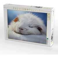 CALVENDO Puzzle Ein Motiv aus dem Kalender "Wenn sie schlafen" 1000 Teile Lege-Größe 64x48cm Foto-Puzzle für glückliche Stunden von Calvendo
