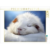 CALVENDO Puzzle Ein Motiv aus dem Kalender "Wenn sie schlafen" 2000 Teile Lege-Größe 90x67cm Foto-Puzzle für glückliche Stunden CALVENDO Puzzle Ein Motiv aus dem Kalender "Wenn sie schlafen" 2000 Teile Lege-Größe 90x67cm Foto-Puzzle für glückliche Stunden von Calvendo