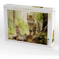 CALVENDO Puzzle Ein Motiv aus dem Kalender "Zwölf Monate im Wald" 1000 Teile Lege-Größe 64x48cm Foto-Puzzle für glückliche Stunden CALVENDO Puzzle Ein Motiv aus dem Kalender "Zwölf Monate im Wald" 1000 Teile Lege-Größe 64x48cm Foto-Puzzle für glückliche Stunden von Calvendo