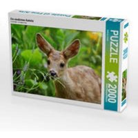 CALVENDO Puzzle Ein niedliches Rehkitz 2000 Teile Lege-Größe 90 x 67 cm Foto-Puzzle Bild von Sabine Löwer CALVENDO Puzzle Ein niedliches Rehkitz 2000 Teile Lege-Größe 90 x 67 cm Foto-Puzzle Bild von Sabine Löwer von Calvendo