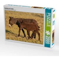 CALVENDO Puzzle Eselstute mit Fohlen 2000 Teile Lege-Größe 90 x 67 cm Foto-Puzzle Bild von Meike Bölts CALVENDO Puzzle Eselstute mit Fohlen 2000 Teile Lege-Größe 90 x 67 cm Foto-Puzzle Bild von Meike Bölts von Calvendo